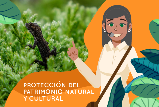 PROTECCIÓN DEL PATRIMONIO NATURAL Y CULTURAL